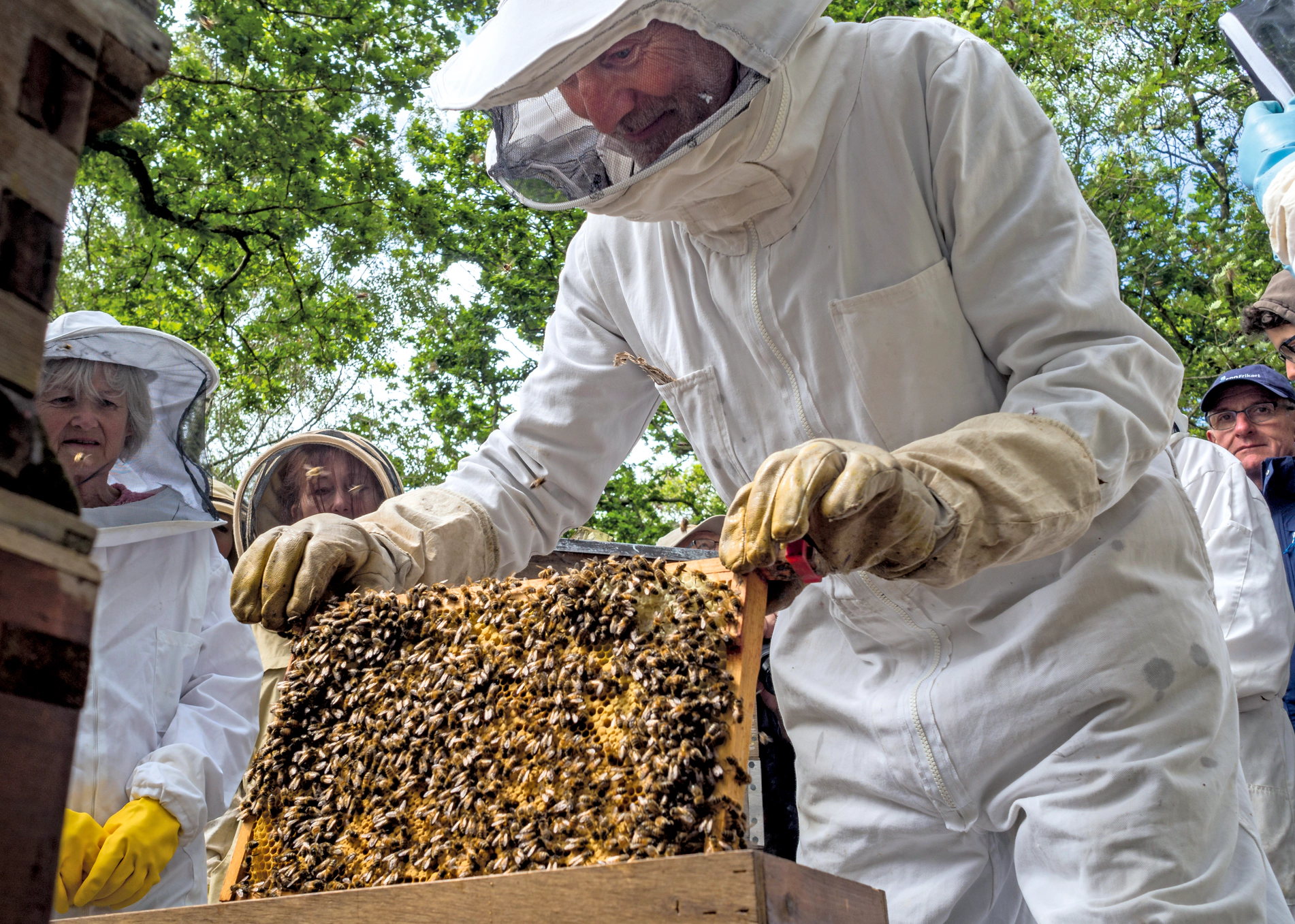 Behandlungsfreiheit, Bewusstsein und Biodiversität