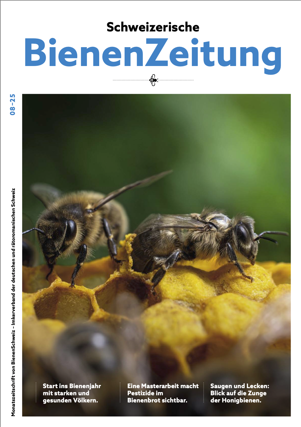 Aktuelle Ausgabe