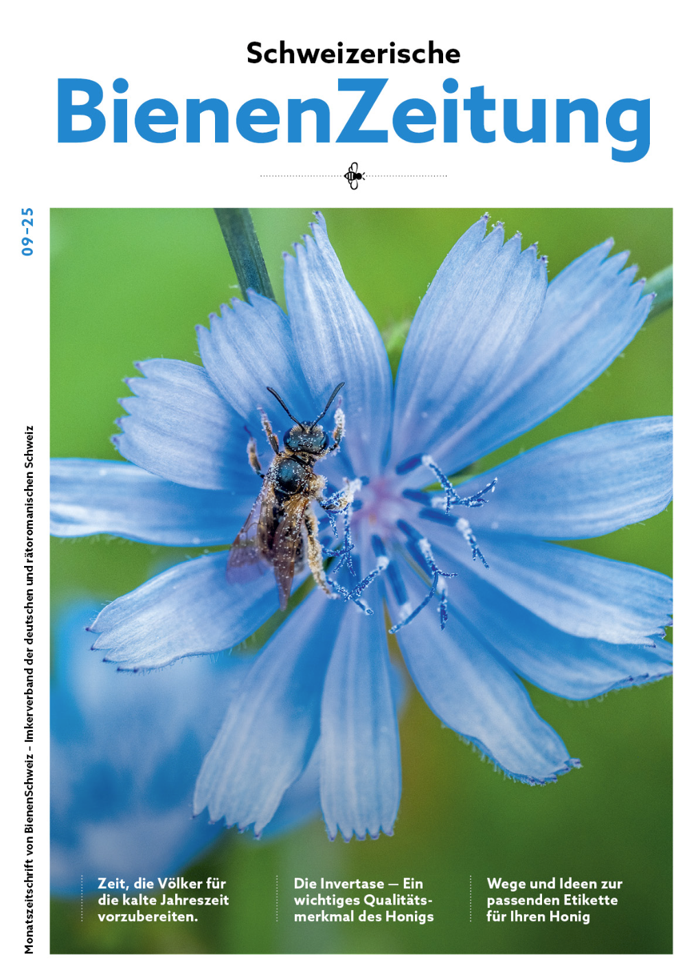 Aktuelle Ausgabe