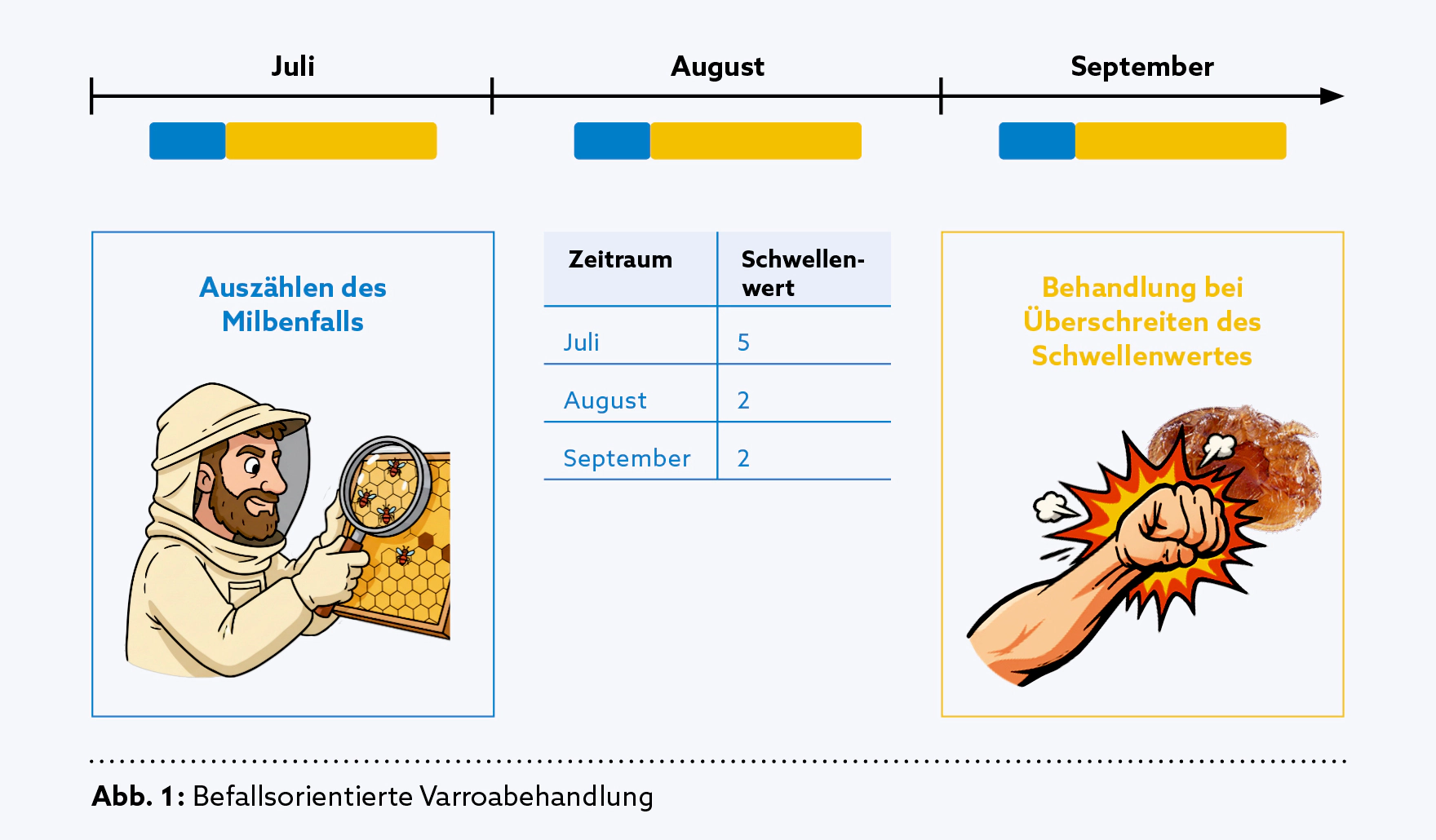 Grafik: ZBF