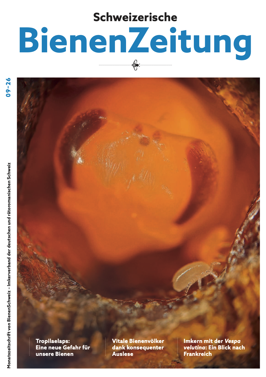 Aktuelle Ausgabe